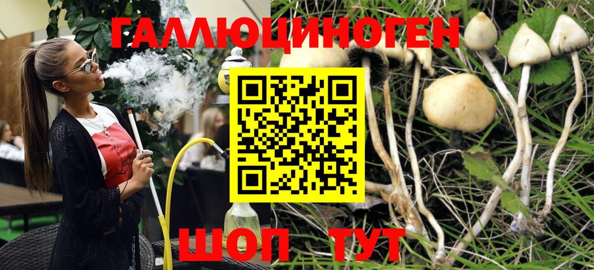 Галлюциногенные грибы прущие грибы  Вход с VPN  Псилоцибиновые грибы мухоморы  Вичуга 
